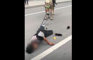 网红骑马爆料视频大全最新,揭秘马背上的精彩瞬间 第3张 网红骑马爆料视频大全最新,揭秘马背上的精彩瞬间 第3张